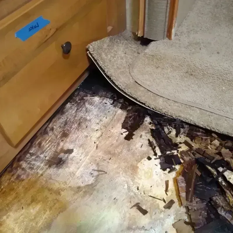 Best Wood Floor Water Damage Service in Clarksville, AR